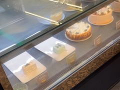 -gaga(深圳南山益田假日广场店)