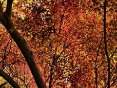 -浙江大学(紫金港校区)