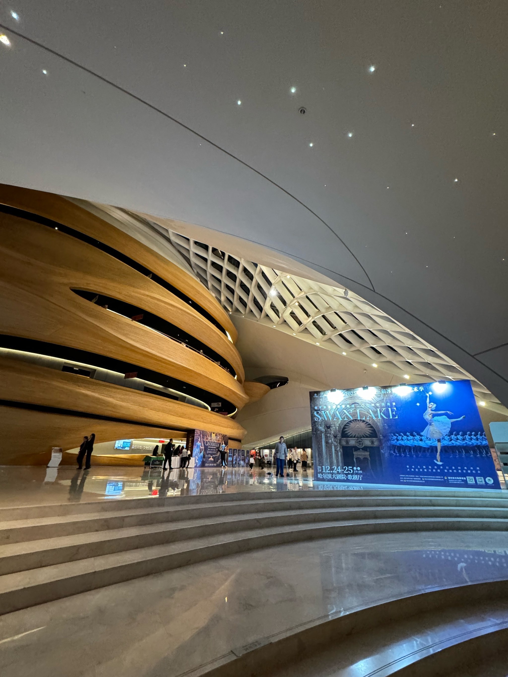 哈尔滨大剧院🎬芭蕾舞·灰姑娘