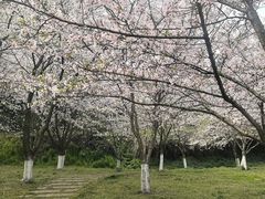 -团城山公园