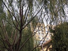-山东政协大厦维景大酒店