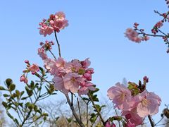 -杭州植物园