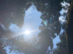 -华南国家植物园-售票处