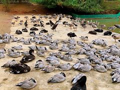 -艾溪湖湿地公园