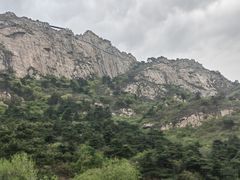 -大芦花风景区