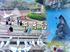 -音乐台