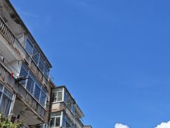 -花园菜市场