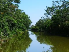 -大湾区中央湿地公园