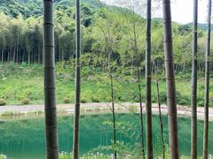 -龙坞茶村