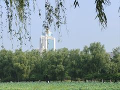 -莲花池公园