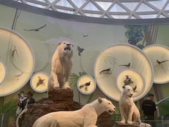 -陕西自然博物馆