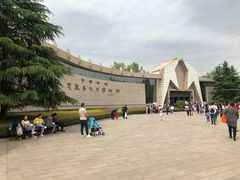 -中国西峡恐龙遗迹园