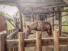 -驿舍·民國老营房院子私房菜(科学会堂店)