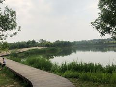 -东郊湿地公园