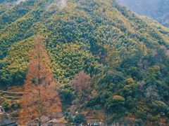 -林坑古村落