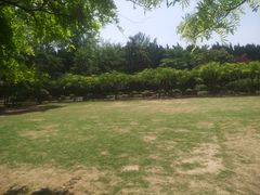 -嘉定紫藤园