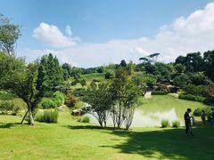 -铁山坪森林公园