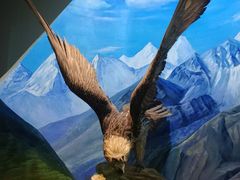 -陕西自然博物馆