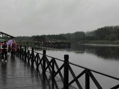 -溱湖国家湿地公园