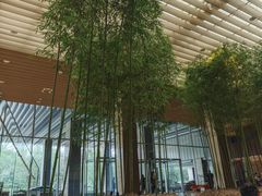 -北京望京凯悦酒店The Lounge大堂酒廊