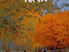 -北京奥林匹克公园