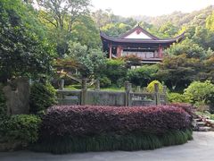-十八棵（老龙井）御茶园(老龙井店)