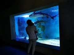 -乌鲁木齐海洋馆