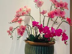 -陶陶居酒家(第十甫路总店)