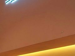 -狐狸和向日葵(北京路店)