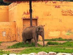 -沈阳森林动物园