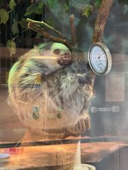 -未来动物城主题公园(正弘城店)