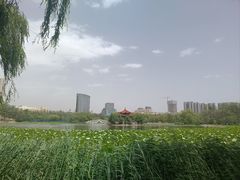 -青城公园
