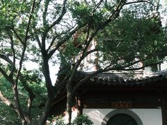 -上海佘山国家森林公园天马山园