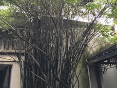 -乌镇东栅景区-茅盾故居