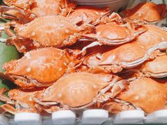 -星伦多自助料理(宝山龙湖天街店)