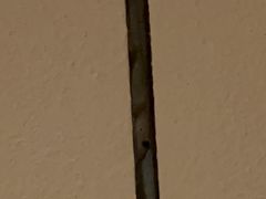 -西双版纳融创皇冠假日度假酒店