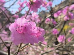 -青岛大珠山景区