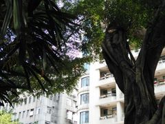 医院-广州市第一人民医院(院本部)