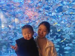 -成都浩海立方海洋公园