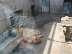 -西安秦岭野生动物园