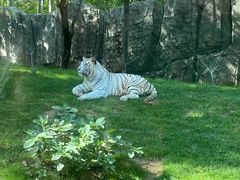 -北京野生动物园