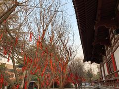 -西安青龙寺遗址景区
