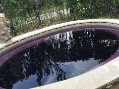 -大连金石滩绿发温泉假日酒店