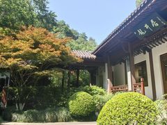 -十八棵（老龙井）御茶园(老龙井店)