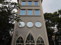 -银湖山郊野公园-相思林