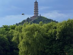 -北坞公园