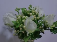 -循礼门鲜花花市(武汉循礼门店)