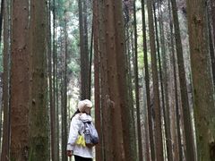 -山王坪喀斯特国家生态公园