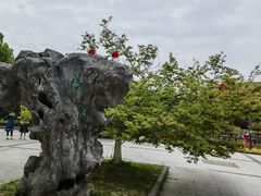 -虞山风景区
