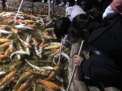-台州海洋世界